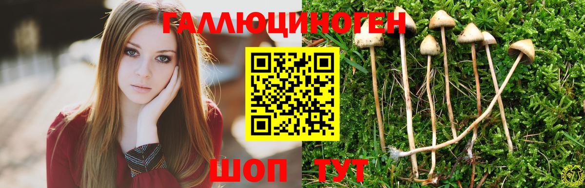 Галлюциногенные грибы прущие грибы Нефтекамск